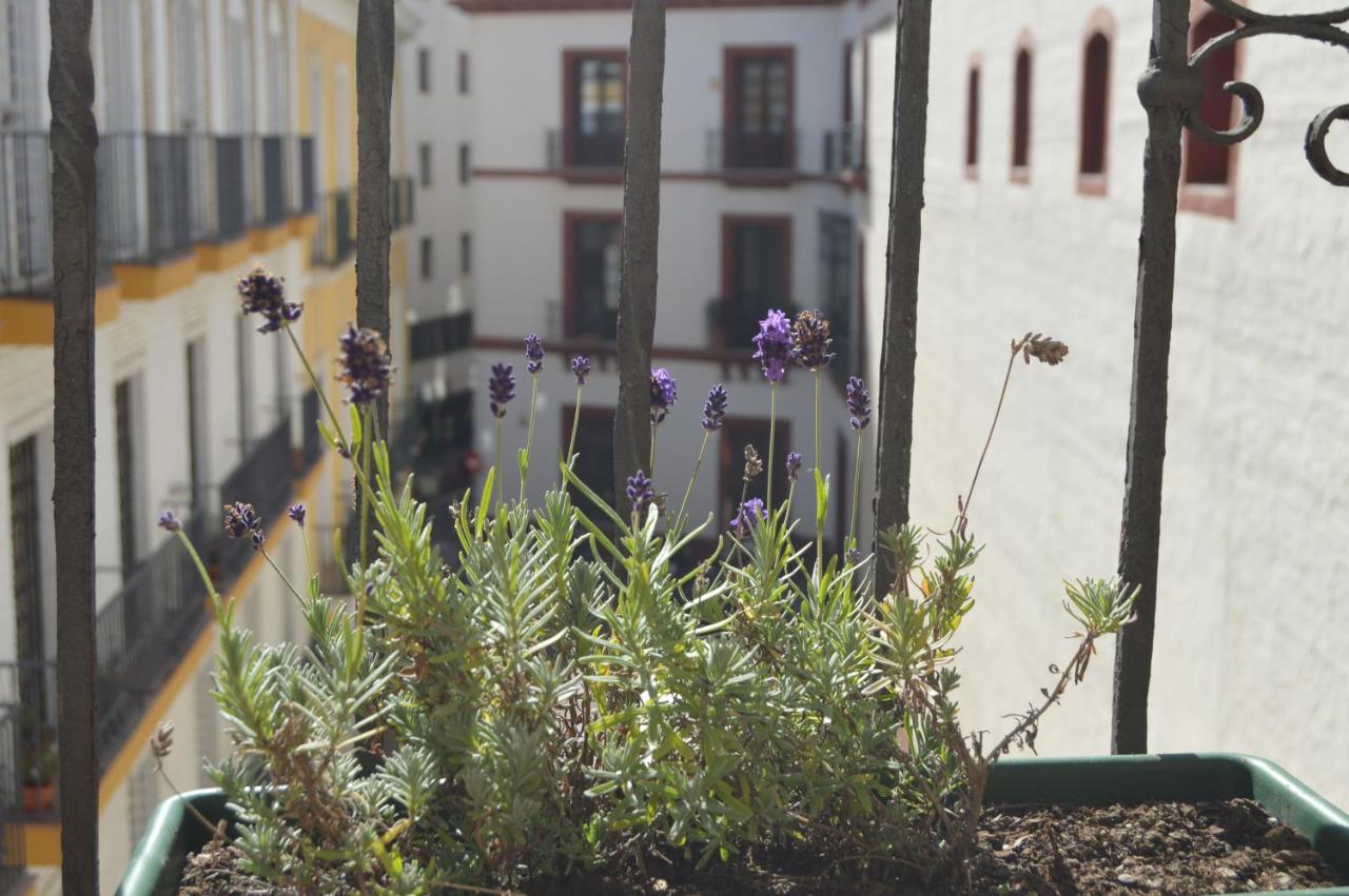 סביליה Isg Apartments Precioso Atico Con Terraza Privada En El Centro- Free Parking מראה חיצוני תמונה